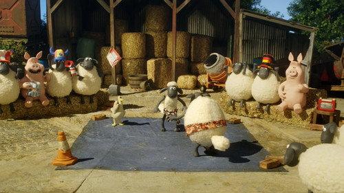 Shaun the Sheep Championsheeps Season 1 Episode 19 - Judo