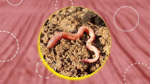 Zembla Season 27 Episode 12 - Het excuus van de Boerenleenbank