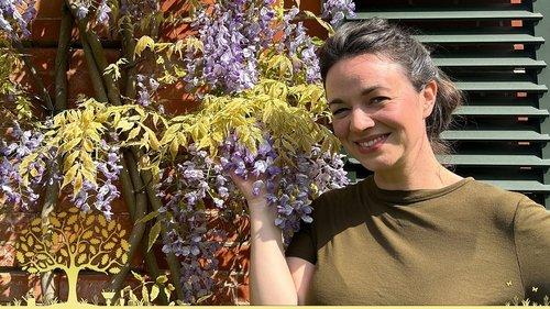 Gardeners' World Season 58 Episode 7 - Episode 7