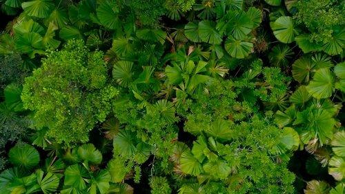 Earth Moods Season 1 Episode 5 - Peaceful Patterns