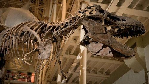 Lost Beasts Season 1 Episode 1 - Secrets of the Deadly T-Rex