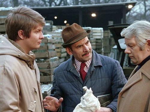 Background image for Alibi für eine Nacht