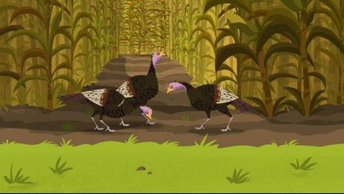 Wild Kratts Season 2 Episode 6 - Happy Turkey Day