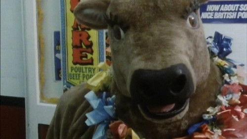 Terry and June Season 8 Episode 13 - Pantomania