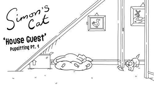 Simon's Cat Season 14 Episode 3 - Pupsitting (1): House Guest