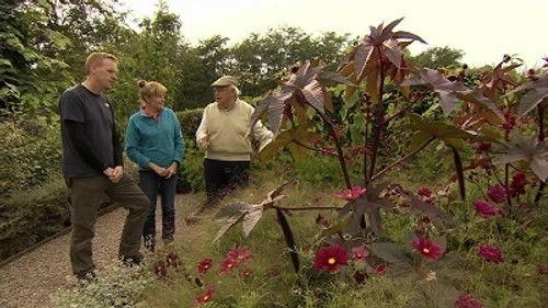 The Beechgrove Garden Season 40 Episode 17 - Episode 17