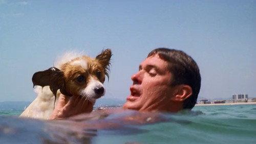 Baywatch Season 9 Episode 9 - The Swimmer