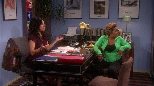 The New Adventures of Old Christine Season 4 Episode 3 - White Like Me