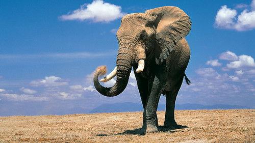 Royal Institution Christmas Lectures Season 45 Episode 1 - Why Elephants Can't Dance