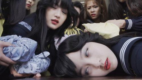 Background image for Love Accelerates