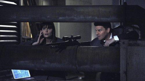 Bones Season 6 Episode 15 - The Killer in the Crosshairs