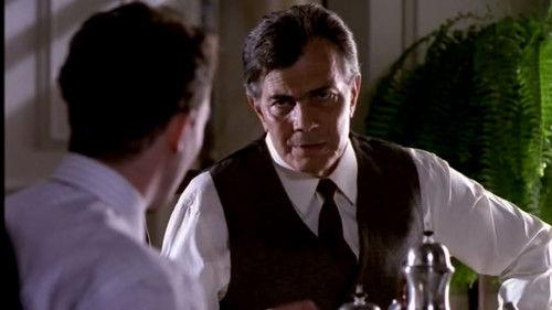 A Vida Como Ela É... Season 1 Episode 24 - Episode 24