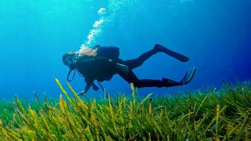 Al mar! Season 1 Episode 12 - Episode 12