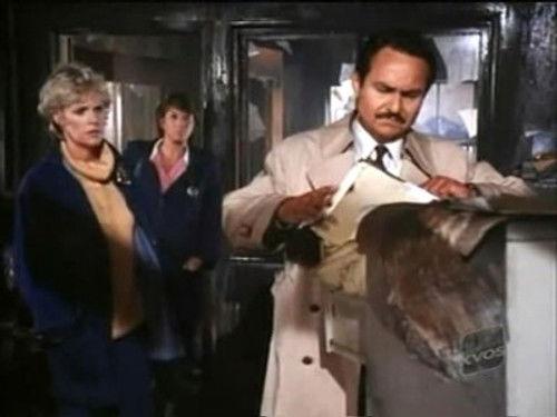 Cagney & Lacey Season 5 Episode 6 - The Clinic