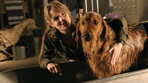 undefined Season 4 Episode 14 - Krypto