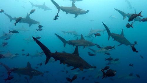 Our Living World Season 1 Episode 3 - Breaking Point