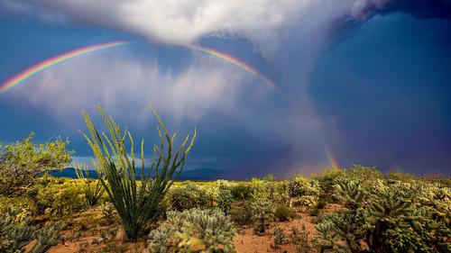 America the Beautiful Season 1 Episode 4 - Wild West