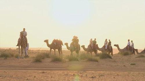 Telefacts Zomer Season 2 Episode 21 - Episode 21