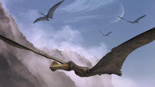 Walking with Dinosaurs Season 1 Episode 4 - Giant of the Skies