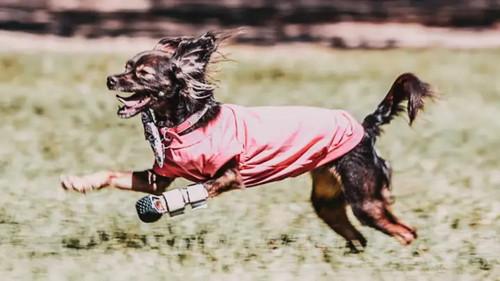 Background image for Saint Goes Marching In