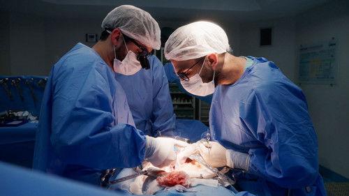 Operation Transplant Season 1 Episode 7 - Episode 7