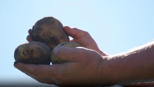 Wisconsin Foodie Season 15 Episode 5 - Milwaukee's Chef Collaboration Dinner, Sterling Farm, Alsum Farms & Produce