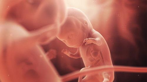 Background image for Spark of Life