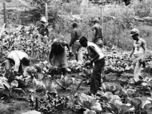 POV Season 3 Episode 10 - Green Streets