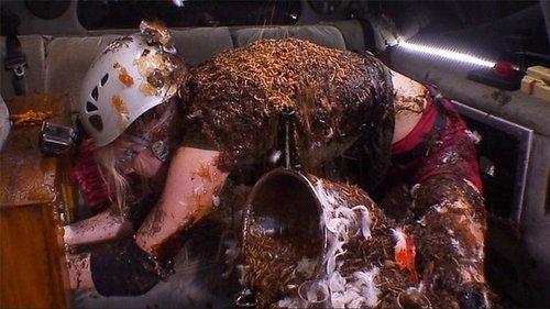 Ich bin ein Star – Holt mich hier raus! Season 8 Episode 4 - Episode 4