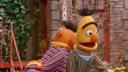 Sesame Street Season 54 Episode 19 - Bert and Ernie's Opposite Day