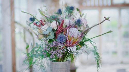 Trädgårdstider Season 10 Episode 1 - Episode 1