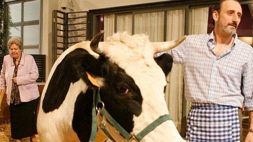 La que se avecina Season 1 Episode 5 - Un romance, un marchoso y una vaca en el jardín