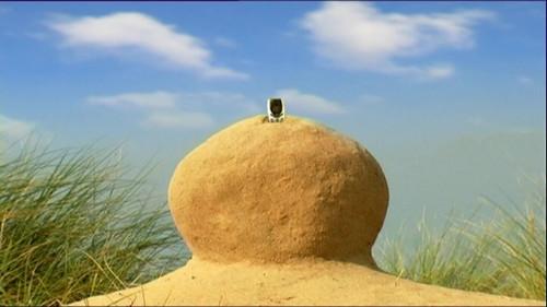 Minuscule: The Private Life of Insects Season 1 Episode 30 - Totem