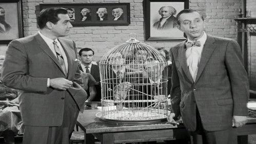 Perry Mason Season 2 Episode 11 - The Case of the Perjured Parrot