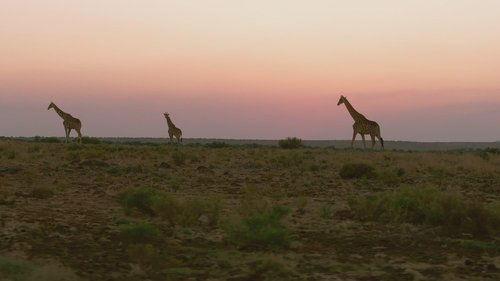 Alone Season 12 Episode 8 - Weak Spot