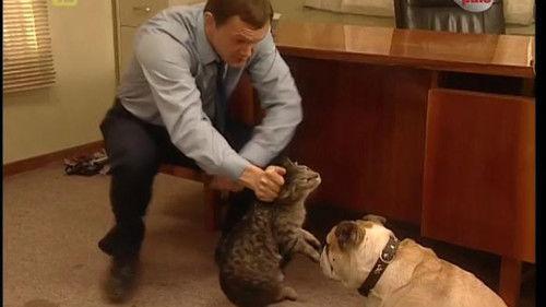 13 posterunek Season 2 Episode 37 - Episode 37