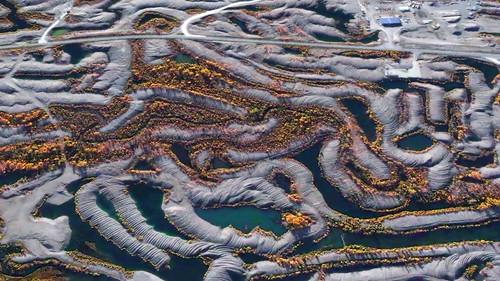 What on Earth? Season 3 Episode 11 - Ghost of Zorro