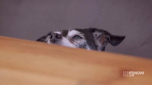 Masters of Flip Season 2 Episode 7 - Southern Comfort