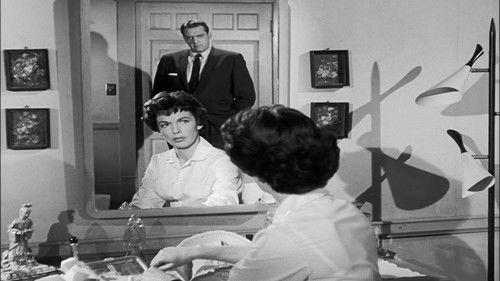 Perry Mason Season 2 Episode 19 - The Case of the Caretaker's Cat