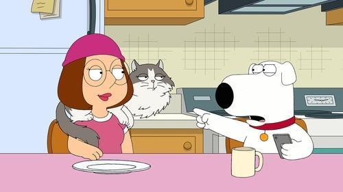 undefined Season 19 Episode 19 - Family Cat