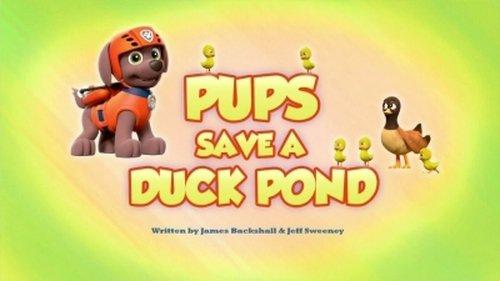 PAW Patrol Season 5 Episode 24 - Pups Save a Duck Pond
