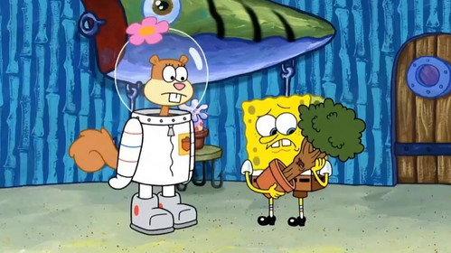 SpongeBob SquarePants Season 13 Episode 51 - Arbor Day Disarray