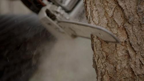 Pano Season 7 Episode 5 - Episode 5