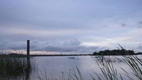 Twisted Sisters Season 2 Episode 6 - Drowning in Despair