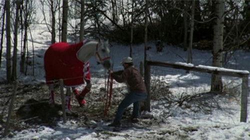 Heartland Season 3 Episode 1 - Miracle