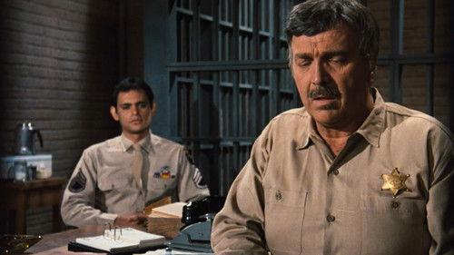 The Waltons Season 8 Episode 22 - The Medal