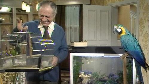 Bless This House Season 6 Episode 3 - Fish With Everything