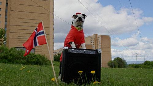 From bully to best friend Season 3 Episode 4 - Mental test