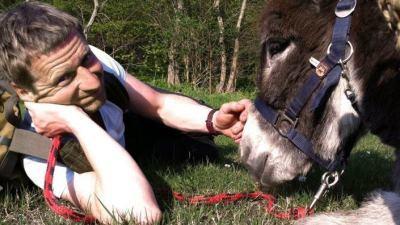 Background image for Mit dem Esel zur Ostsee (2)