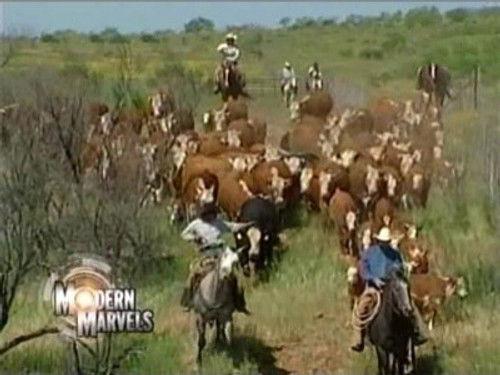 Modern Marvels Season 8 Episode 23 - Cattle Ranches
